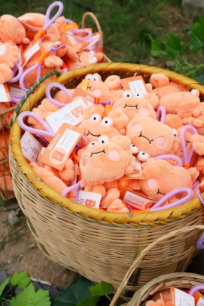 小冰箱贴缘何成了“社交货币”澳门新葡京网页江南观察 小(图1)